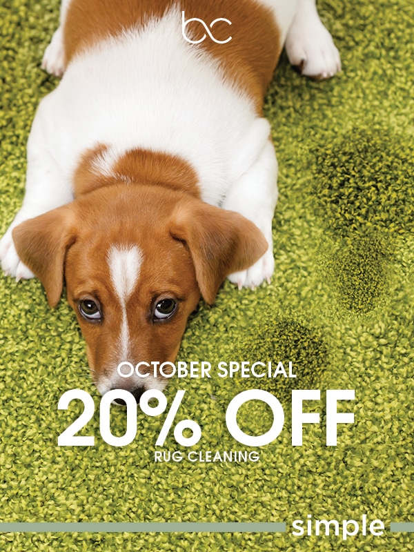 Specials | Burke Cleaners :: Laundry &amp; Dry Cleaning made simple.