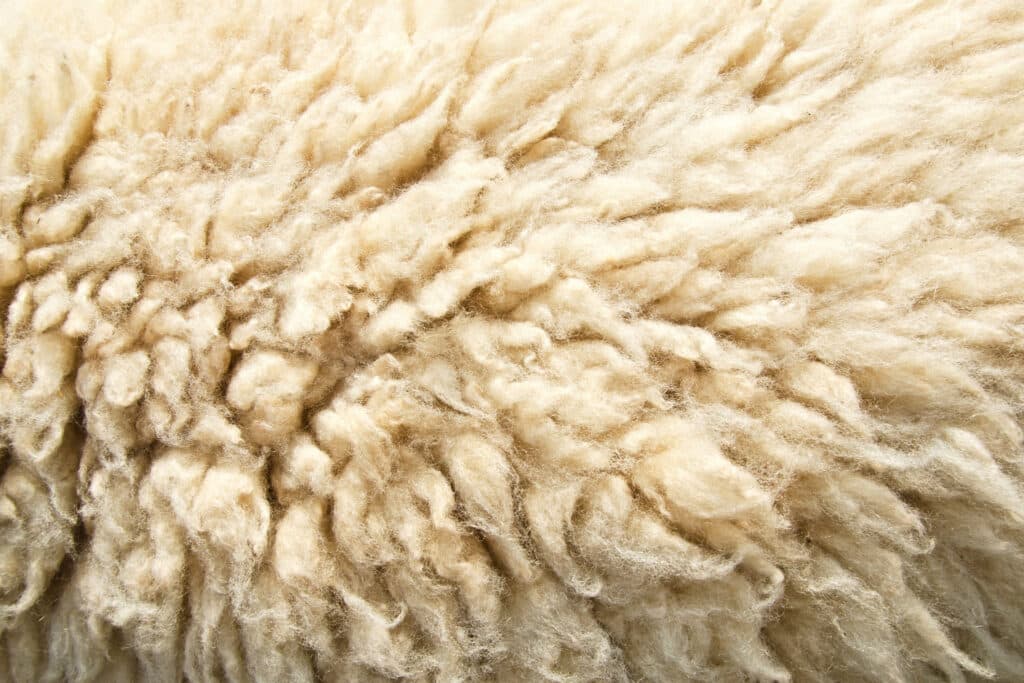 Winter Wardrobe Care How Dry Cleaning Can Preserve Your Heavy Fabrics Wool
